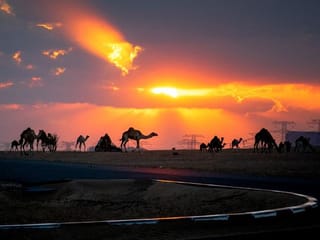 Photos: Gulf News readers share pictures: Life in the UAE