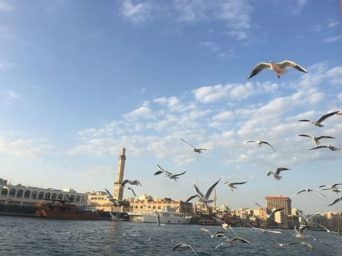 Birds enjoy the pleasant weather in Dubai