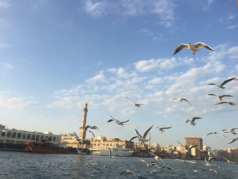 Birds enjoying the pleasant weather in Dubai 