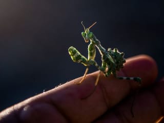 Staff pictures of the day: February 5, 2020