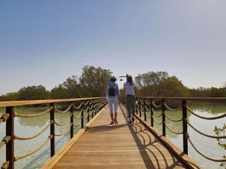 Jubail Mangrove Park: Abu Dhbai's newest natural attraction