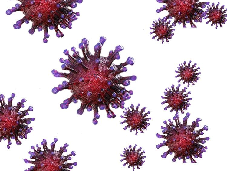 Coronavirus