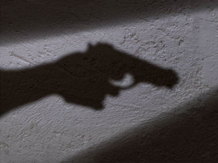 gun, pistol, shoot, shot dead