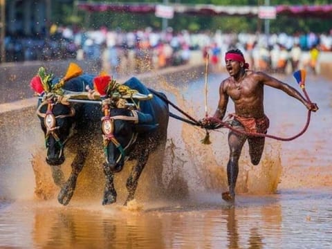 Union Sports Minister Kiren Rijiju has called 'India's Usain Bolt' Srinivasa Gowda for trials by top coaches after he set a new record as the fastest runner in the history of the traditional buffalo race of the coastal region.