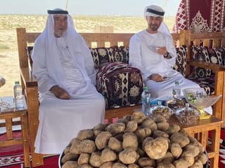 Watch: Sheikh Khalifa, Sheikh Mohamed visit forest reserve