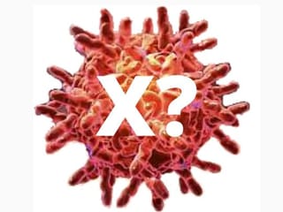 Is coronavirus the 'Disease X' WHO warned about?
