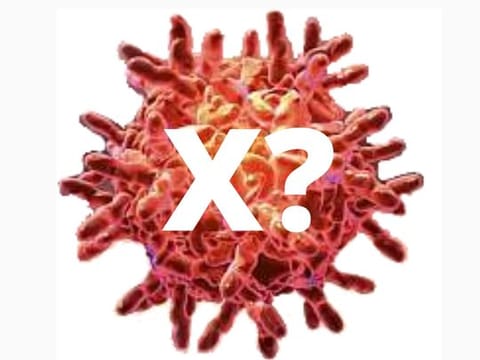 Is coronavirus the 'Disease X' WHO warned about?