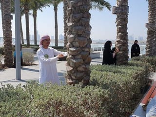Must listen: These trees at Louvre Abu Dhabi can sing
