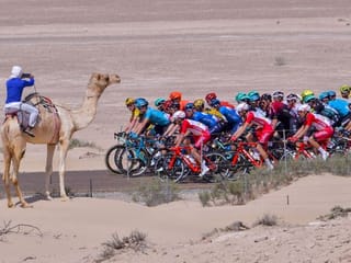Camels on the course: UAE Tour Stage 3 in pictures