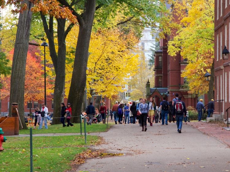 WLD 200310 HARVARD-1583853388166