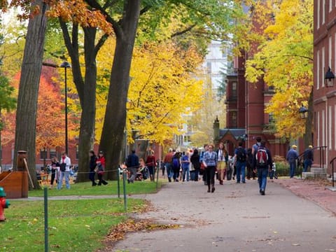 Harvard University is beginning to transition to virtual classes and hopes that transformation will be complete by March 23.