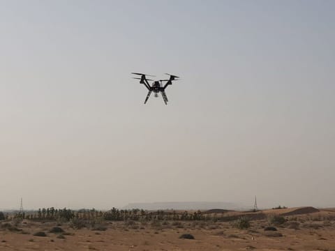 A Khalifa University-developed drone that can pollinate a million palm trees 