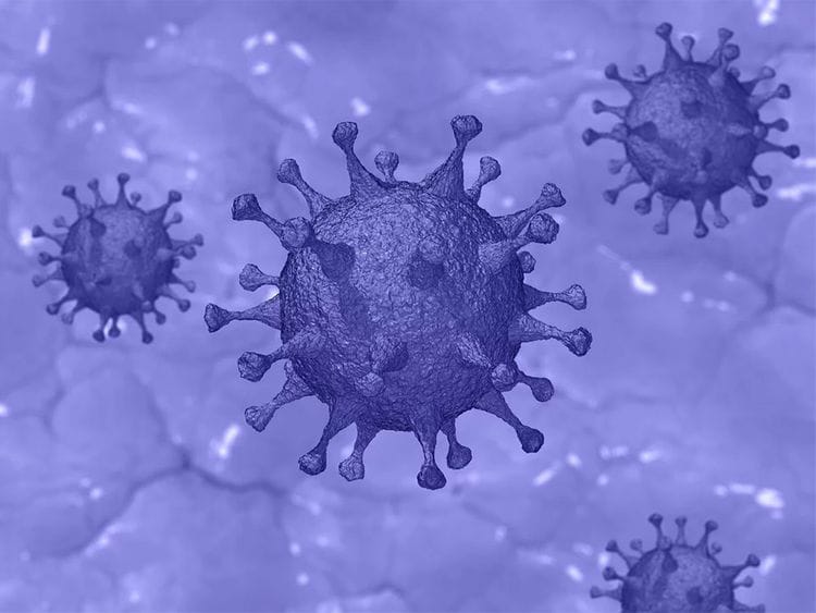 Coronavirus, covid-19