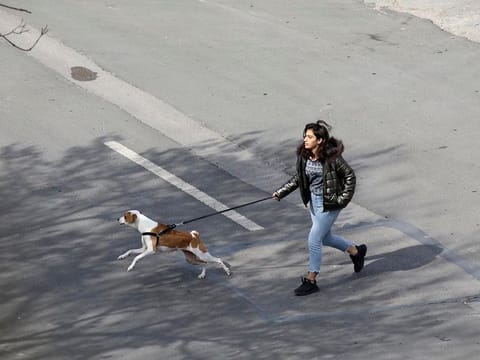 A woman walks her dog in a deserted street amid the coronavirus outbreak, in Ankara, Turkey, Sunday, March 22, 2020. 