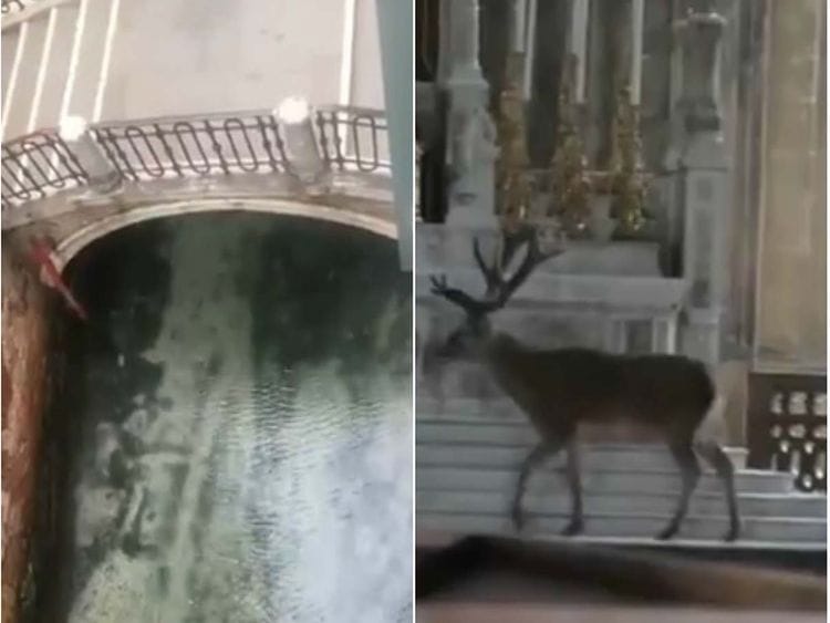 Italy 