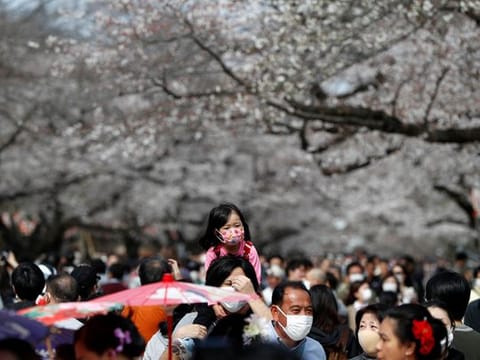 Japan: Japanese head out to see cherry blossoms despite coronavirus warnings 
