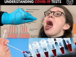 How COVID-19 test works: Know the basics