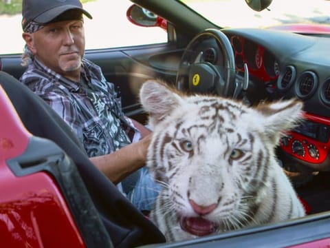 Tiger King