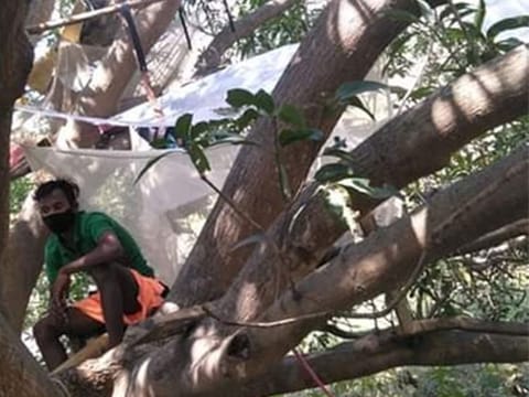 These makeshift camps on tree are otherwise, used by villagers in Purulia to observe elephant movement and to safeguard themselves from elephant attacks.