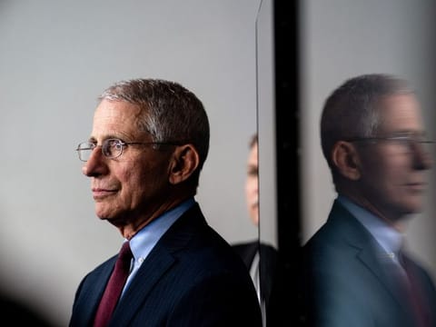 Dr. Anthony Fauci at a White House news breifing on Tuesday, March 31, 2020. Fauci, America’s leading expert on infectious diseases, has become a regular at President Donald Trump’s coronavirus briefings