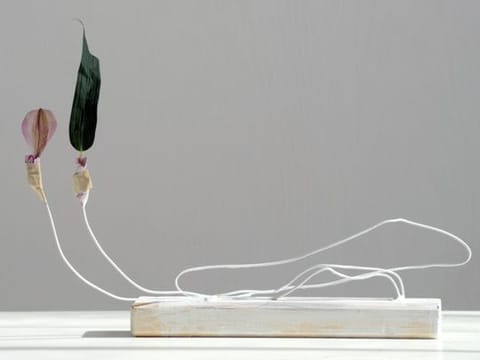 Bouquet of art: Galleries use flower power