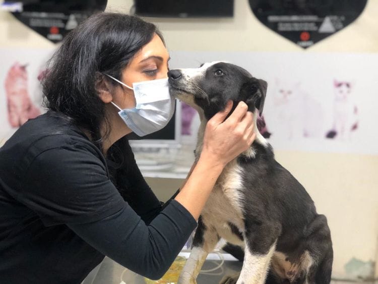 REG 200405 Dog Care-1586079042794