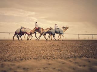 Photos: Gulf News readers share pictures of life in the UAE