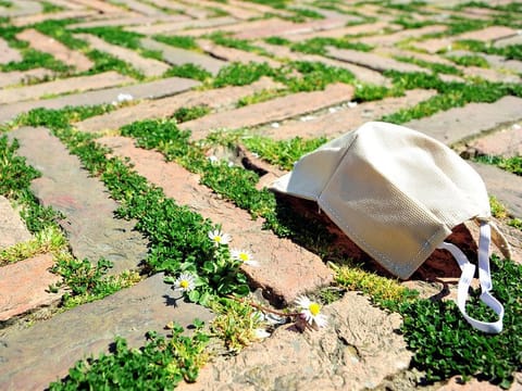 A protective face mask lays amid grass [Illustrative image]