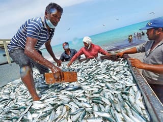 Kalba Beach: The fishermen’s ‘cove’
