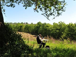 Italian boy travels a mile for internet signal to study under tree