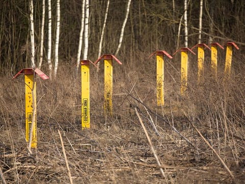 Season of plenty for oil... Opec's production cuts will come into effect from next month. But it will be tough task for these cuts to make a dent in a global economy awash in crude supply. Pictured here are marker points for the Transneft pipeline in Russia.