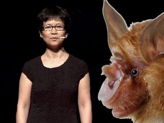 Coronavirus: Meet the legend, the Chinese 'Bat Woman'