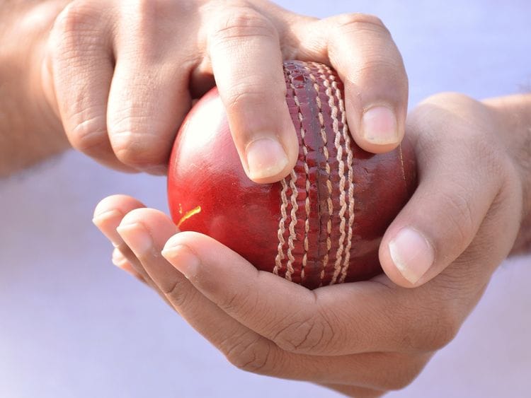 Cricket