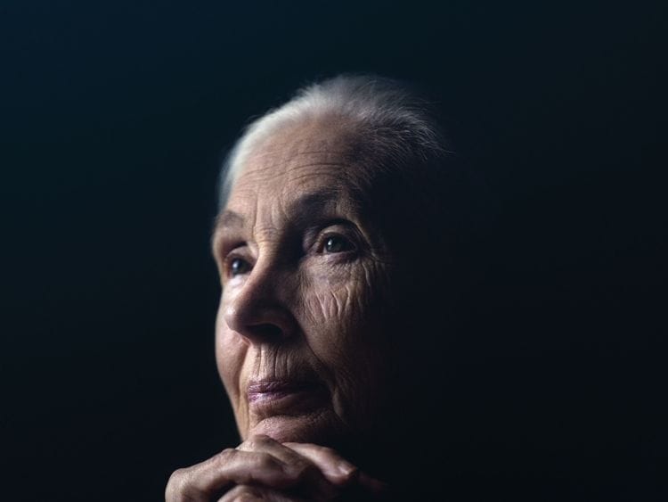 Dr Jane Goodall