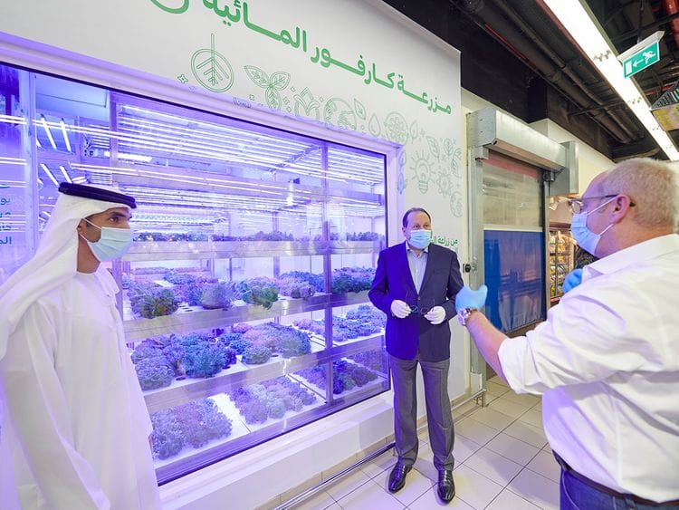 Majid Al Futtaim has recently inaugurated its third in-store hydroponic farm at its Carrefour market in Al Wasl.