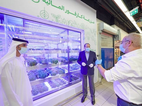Majid Al Futtaim has recently inaugurated its third in-store hydroponic farm at its Carrefour market in Al Wasl. 