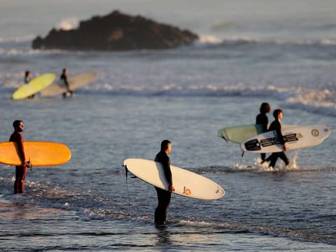 Surfers prepare to enter the water for a sunrise surf at Sumner Beach as level four COVID-19 restrictions are eased in Christchurch, New Zealand, Tuesday, April 28, 2020. New Zealand eased its strict lockdown restrictions to level three at midnight to open up certain sections of the economy but social distancing rules will still apply. 