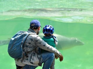 COVID-19: Berlin Zoo offers a 'sense of normalcy' to city residents