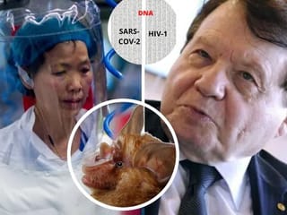 COVID-19 origin: Virus shrouded in mystery, here’s why