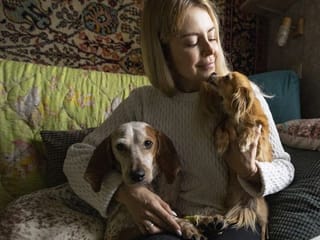 Photos: Amid Moscow's COVID-19 lockdown, some dogs find new homes and friends