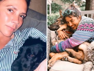 Bollywood to Hollywood: Furry pets bring a pawsitive side to locked-down life 