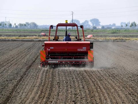 Minister of Water and Irrigation Mohammed Abdul Atti has ordered irrigation inspectors to crack down on unlawful cultivation of rice and to immediately levy fines on violators for wasting water.