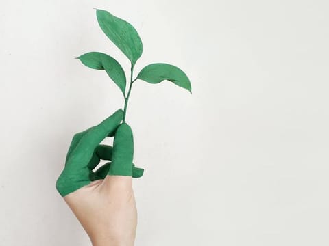 Sustainable living 