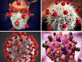 Prickly pastime: Cactus inspires COVID-19 lockdown art project