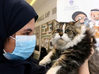 Careless pet owners face fines up to SR50,000 in Saudi Arabia