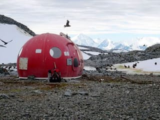 Climate change is turning Antarctica green: Study