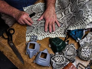 Florida man makes masks out of python, iguana skin