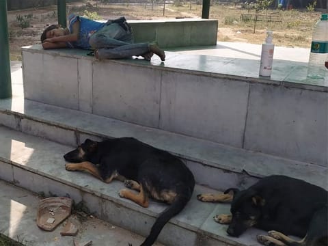 Twelve-year-old Indian migrant boy takes shelter in a park amid lockdown