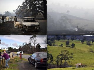 Bushfire-hit areas in Australia showing signs of recovery
