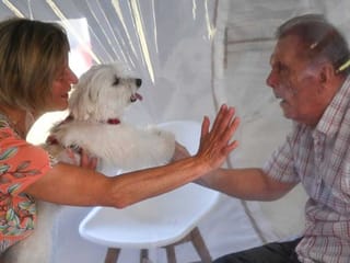 COVID-19: Plastic bubble brings joy to French nursing home